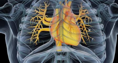心脏肿瘤学心脏扫描